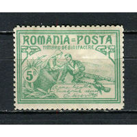 Королевство Румыния - 1906 - Благотворительность 5B - [Mi.170A] - 1 марка. MH.  (Лот 50EQ)-T7P8