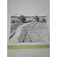 Старое фото уборка зерновых