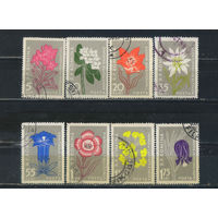 Румыния НР 1957 Цветы Карпатских гор Полная #1647-54