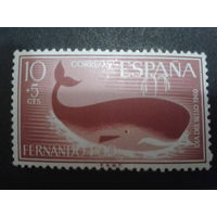 Фернандо-По 1960 Колония Испании кит