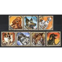 Собаки Монголия 1984 год серия из 7 марок