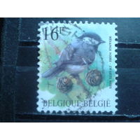 Бельгия 1999 Стандарт, птица  16 франков