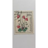 Чехословакия 1960. Цветы