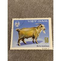 Вьетнам 1979. Домашний скот. Козы. Марка из серии