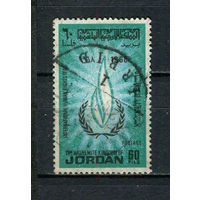 Иордания - 1968 - Права человека 60F - [Mi.692] - 1 марка. Гашеная.  (Лот 45CP)
