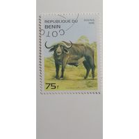 Бенин 1995. Животные