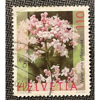 ЦІКАВІЦЬ АБМЕН! 2003, Valeriana officinalis (110)
