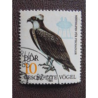 Германия 1982 г. Птицы.