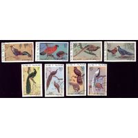 8 марок 1979 год Вьетнам Павлины беззубцовки 1044-1051U