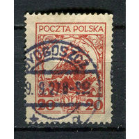 Польша - 1925/1927 - Флот 20Gr - [Mi.239ii] - 1 марка. Гашеная.  (Лот 61EN)-T5P3