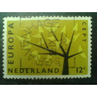 Нидерланды 1962 Европа