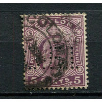 Британские колонии - Цейлон - 1904/1911 - Король Эдуард VII 5С - [Mi.148] - 1 марка. Гашеная.  (Лот 45BQ)