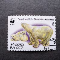 Марка СССР 1987 год Белый медведь