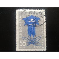 Румыния 1957 цветы