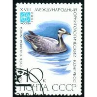 Птицы СССР 1982 год 1 марка