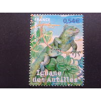 Франция 2007 игуана