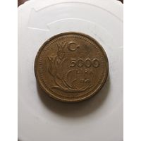 Турция 5000 лир 1995 год