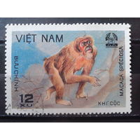 Вьетнам 1981 Обезьяна