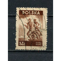 Польша - 1946 - Солдаты - [Mi. 438] - полная серия - 1 марка. Гашеная.  (Лот 76EQ)-T7P8