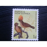 Папуа Новая Гвинея, 1964. Птица шалашник*
