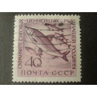 СССР 1960 рыбы