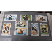 Панды мишки Монголия марки 8 штук - очень красивые медведи панды на марках Монголии
