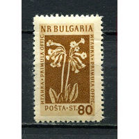 Болгария - 1953/1954 - Горные цветы и лекарственные растения 80St - [Mi.883] - 1 марка. MH.  (Лот 34FA)-T25P8