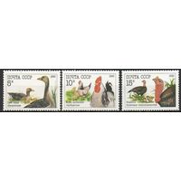 Фауна Домашние птицы СССР 1990 год (6223-6225) серия из 3-х марок ** (С)