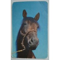 Календарик. Лошадь. 1990