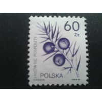 Польша 1989 стандарт ягоды