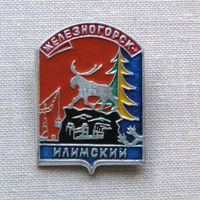 Значок герб города Железногорск-Илимский 11-32