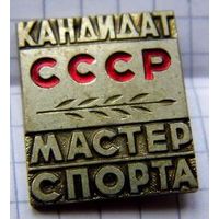 Кандидат мастер спорта СССР