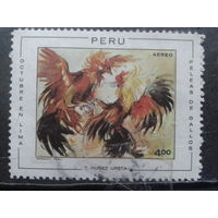 Перу, 1970. Петушиный бой