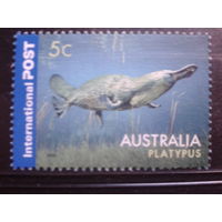 Австралия 2006 морская фауна