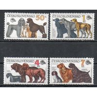 Собаки Чехословакия 1990 год серия из 4-х марок