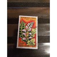 1963 Конго флора цветы Ивер 9 оценка 6 евро (3-5)