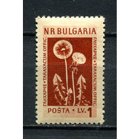 Болгария - 1953/1954 - Горные цветы и лекарственные растения 1L - (есть тонкое место) - [Mi.884] - 1 марка. MH.  (Лот 35FA)-T25P8