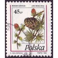 Хвойные шишки Польши 1995 год 1 марка