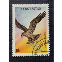 Марка Кыргызстан 1995 Хищная птица скопа