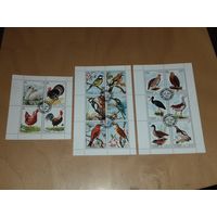 Шарджа (ОАЭ) 1972 Фауна. Птицы. 16 марок. 3 полные серии в 3-х листах