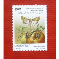 Мавритания. Бабочки. ( 1 марка ) 1988 года. 7-5.