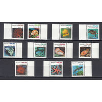 Морская фауна. Ракушки. Палау. 1983. 11 марок. Michel N 9-19 (7,5 е)