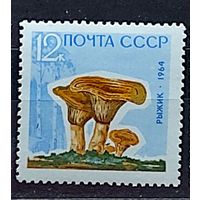 Марки СССР:  грибы, рыжик 1964 (1МЕ)