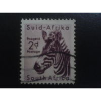 ЮАР 1954 стандарт, зебра
