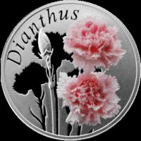 Гвоздика (Dianthus) ("Красота цветов") 10 рублей 2013 года
