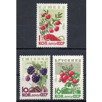 Ягоды СССР 1964 год 3 марки