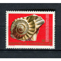 Австрия - 1976 - Музей естественной истории. Аммонит - [Mi. 1510] - полная серия - 1 марка. MNH.  (Лот 202AV)