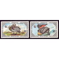 2 марки 1986 год Монголия Пеликаны 1812-1813