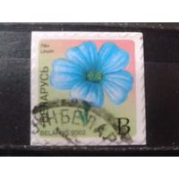 2002 Стандарт, цветок льна