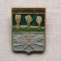 Значок герб города Краснослободск 7-17